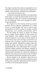 Stii, Lavinia, Caracatitele - Publisol.ro