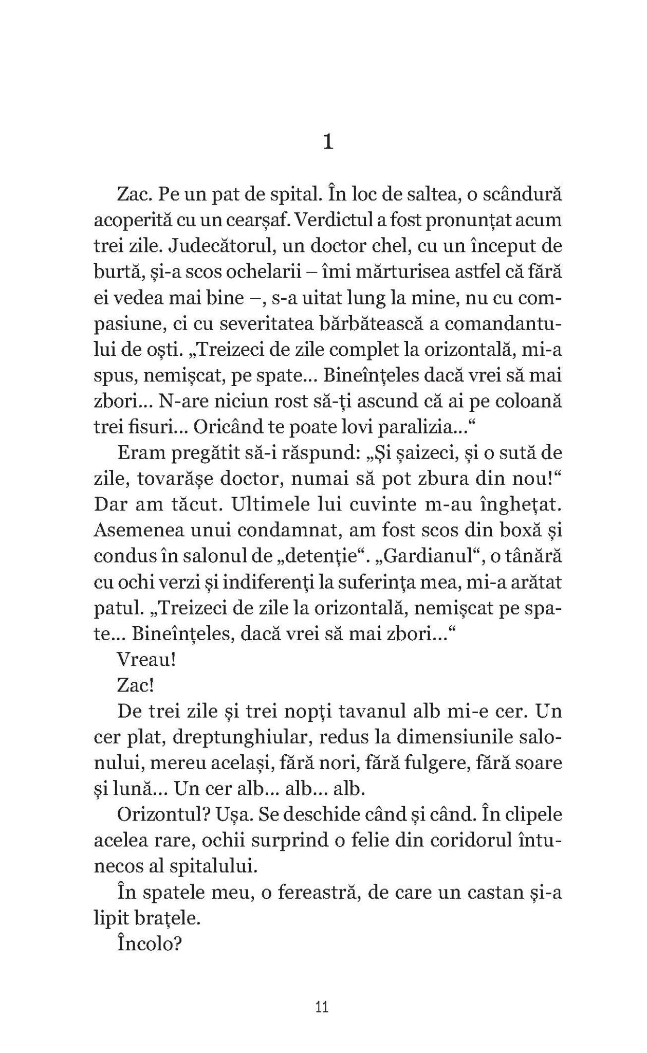 Supersonicul 01 decoleaza in zori - Publisol.ro