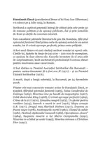 Supersonicul 01 decoleaza in zori - Publisol.ro