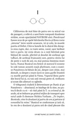 Un biet bunic si o biata cinste - Publisol.ro