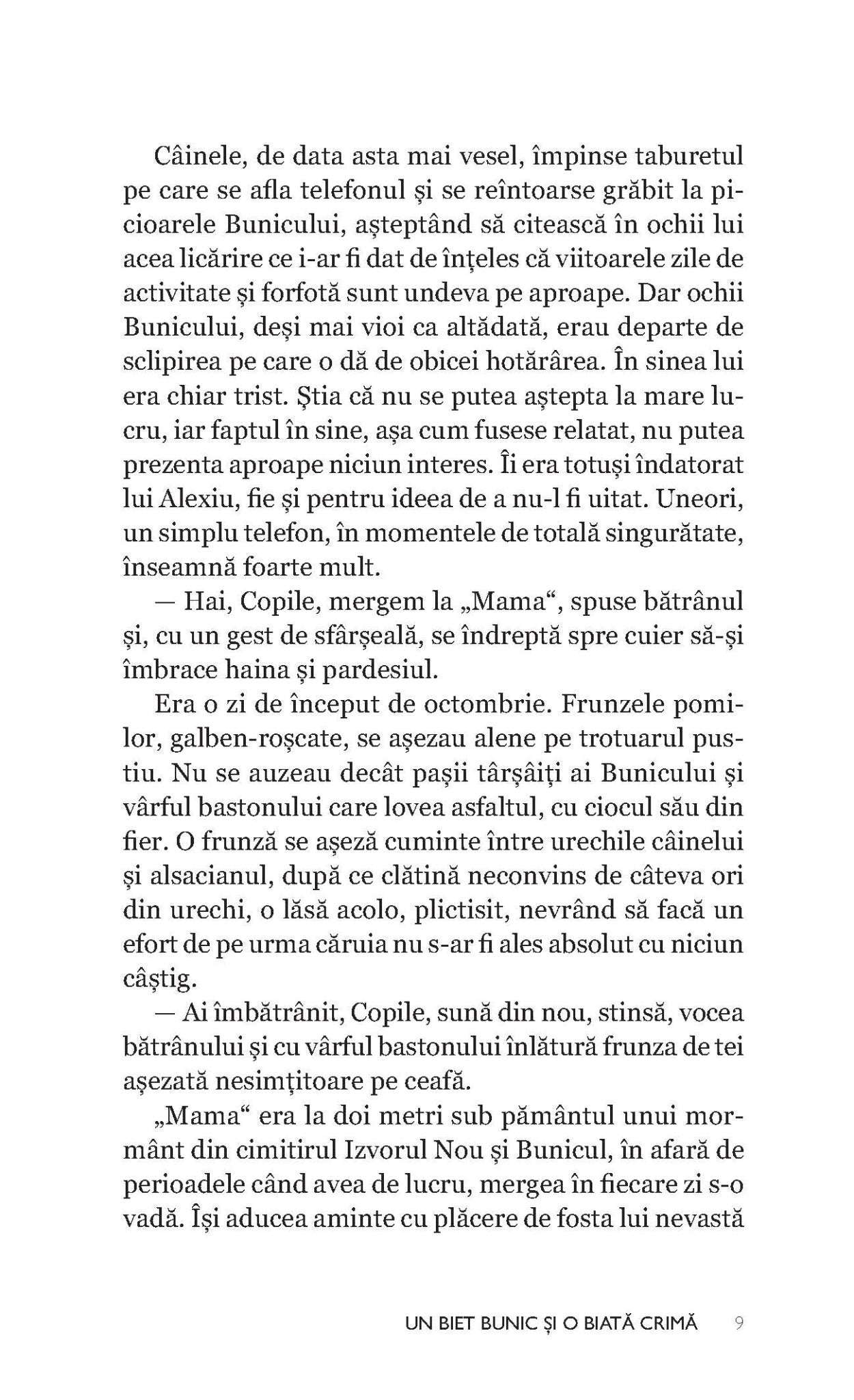 Un biet bunic si o biata crima - Publisol.ro