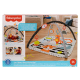 Fisher price saltea muzicala 3 in 1 cu centru de activitati, Mattel