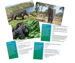 Joc interactiv lumea animalelor in limba romana, Simba