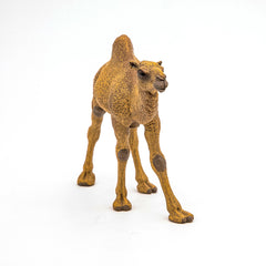 Papo figurina dromader, Papo