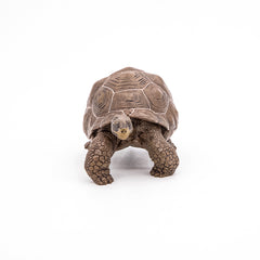 Papo figurina testoasa galapagos, Papo