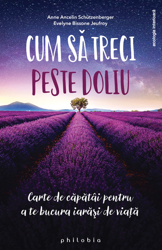 Cum sa treci peste doliu. Carte de capatai pentru a te bucura iarasi de viata, de Anne Ancelin Schutzengerber, Evelyne Jeufroy