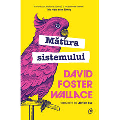 Matura sistemului, de David Foster Wallace