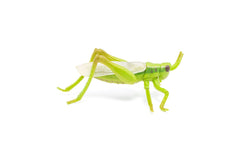 Papo figurina lacusta, Papo