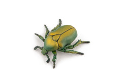 Papo figurina carabus, Papo