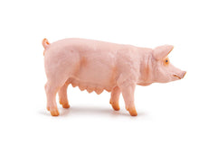 Papo figurina scroafa, Papo