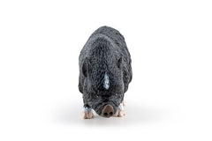 Papo figurina porc vietnamez, Papo