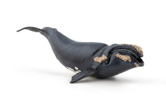 Papo figurina balena, Papo