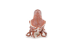 Papo figurina nautilus, Papo