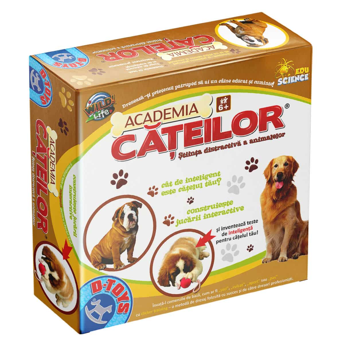 Academia cateilor - Set interactiv cu jucarii si instructiuni pentru dresat catei, D - Toys - Publisol.ro