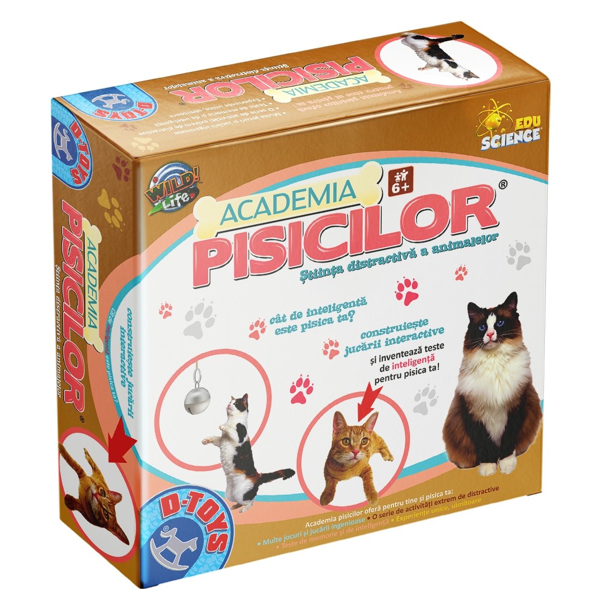Academia pisicilor - Set interactiv cu jucarii si instructiuni pentru dresat pisici, D - Toys - Publisol.ro