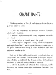 Accepta - te asa cum esti. Inceteaza sa te mai corijezi, de Anthony de Mello - Publisol.ro