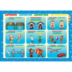 Set planse - Antonime, de 3 planse 50x70cm (romana, engleza, franceza, germana), de Colectiv Ars Libri
