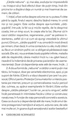 Autistii Cartilor, de Gheorghe Schwartz - Publisol.ro