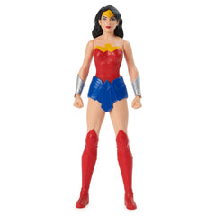 Batman figurina wonder woman 24cm, Spin Master - Publisol.ro