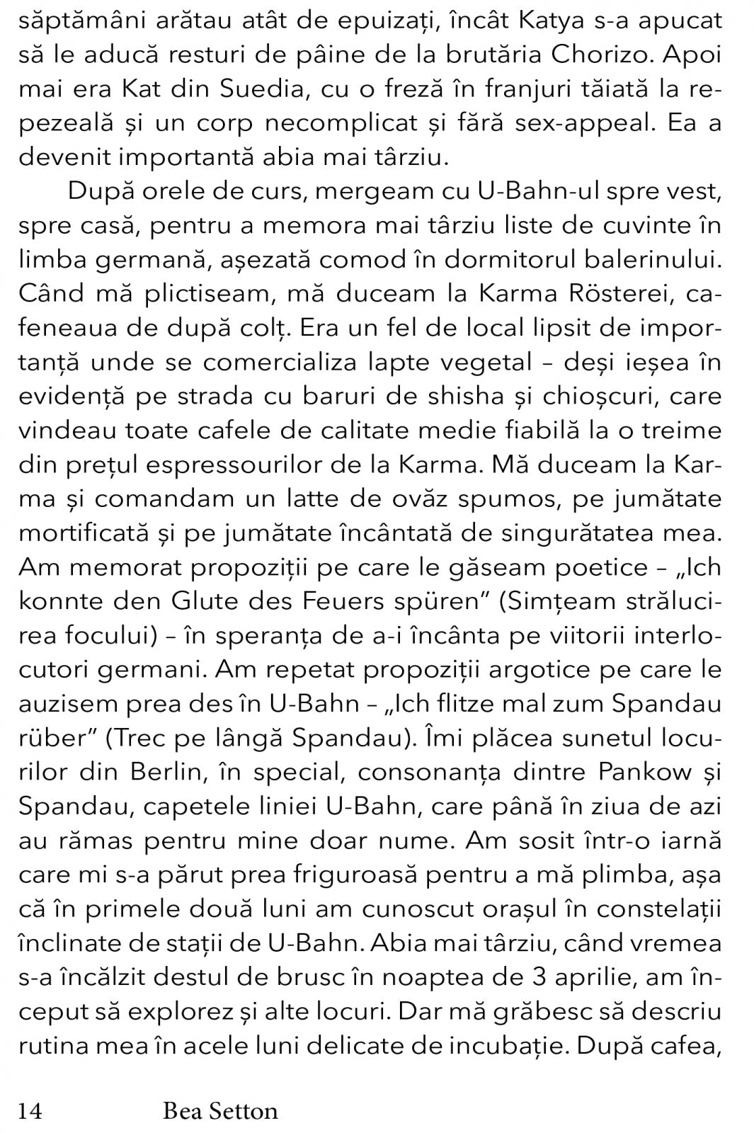 Berlin. Un dusman in oras, de Bea Setton - Publisol.ro