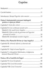 Biblia ingerilor. Scrieri inspirate de Ingerii Luminii, de Joane Flansberry - Publisol.ro