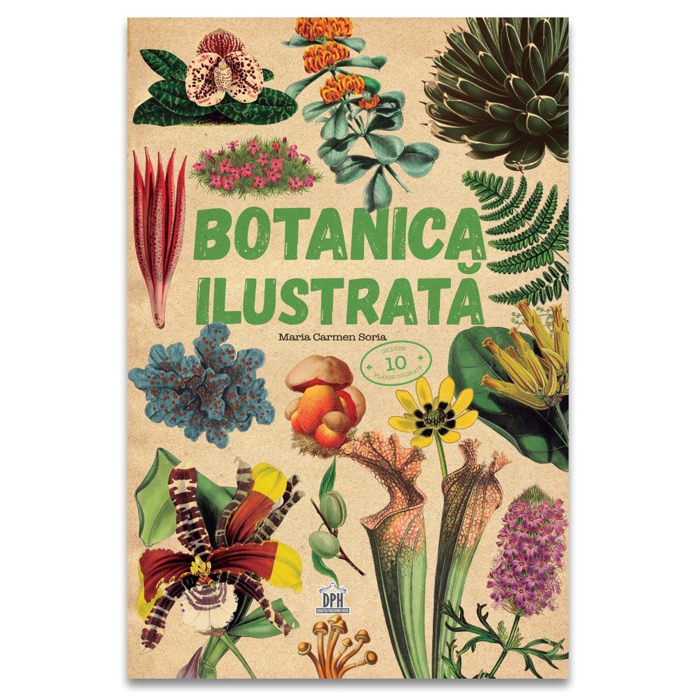 Botanica ilustrata, de Maria Carmen Soria - Publisol.ro