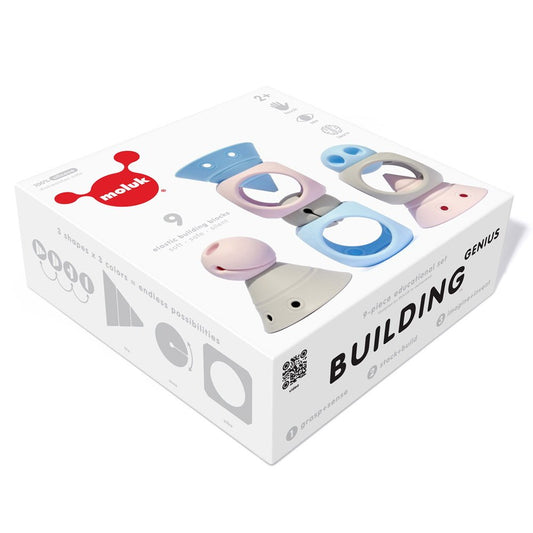 Building Genius, set senzorial pentru bebe, nordic colors, Moluk - Publisol.ro