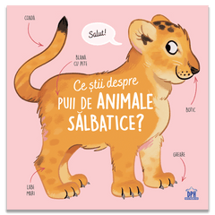 Ce stii despre puii de animale salbatice?, de Olivier Le Gall - Publisol.ro