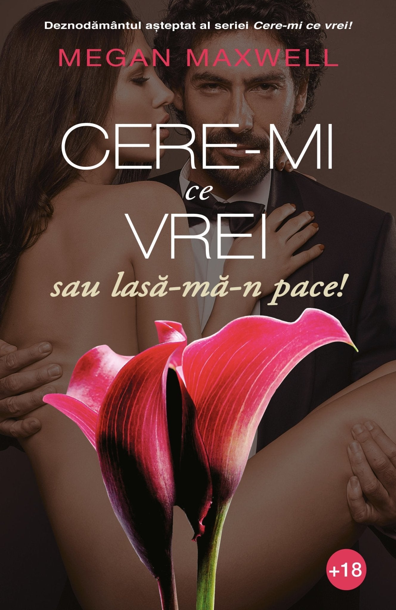 Cere - mi ce vrei - Pachet 4 carti - Megan Maxwell - Publisol.ro