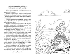 Cheița de aur sau minunatele pățănii ale lui Buratino, de Alexei Tolstoi - Publisol.ro