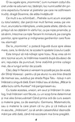 Cismigiu & Comp., de Grigore Bajenaru - Publisol.ro
