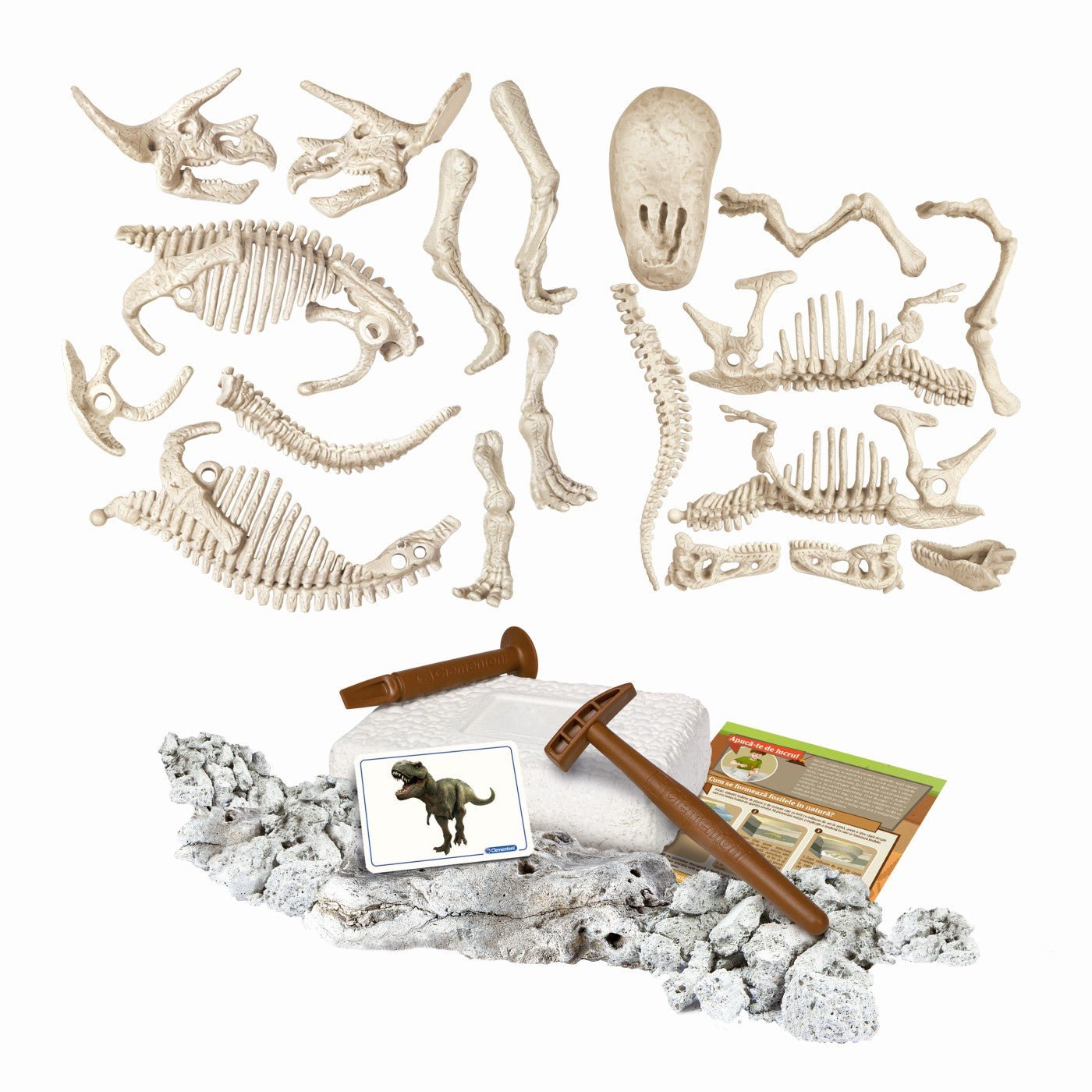 Descopera dinozaurul t-rex & triceraptor fluo stiinta si joaca, AS - Publisol.ro