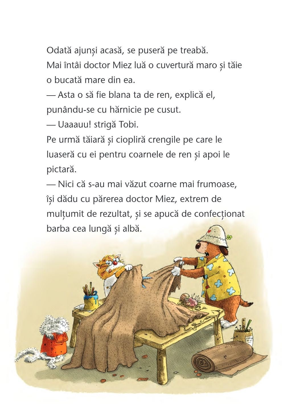 Doctorul Miez - O minune de Craciun, de Walko - Publisol.ro