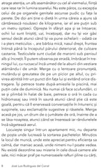 Dorinta, de Jose Luis Rodriguez del Corral - Publisol.ro