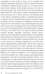 Dorinta, de Jose Luis Rodriguez del Corral - Publisol.ro