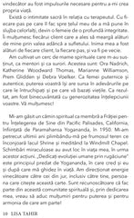 Efectul Chiron, de Lisa Tahir, LSCW - Publisol.ro