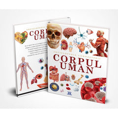 Enciclopedia cunoașterii. Corpul uman, de Didactica Publishing House - Publisol.ro