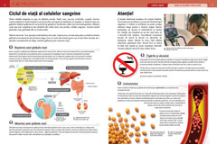 Enciclopedia cunoașterii. Corpul uman, de Didactica Publishing House - Publisol.ro