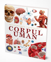 Enciclopedia cunoașterii. Corpul uman, de Didactica Publishing House - Publisol.ro