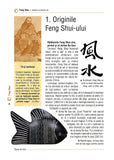 Feng Shui, de Julia Hatcher