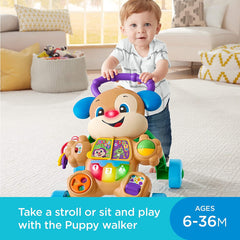 Fisher price antemergator catelusul interactiv in limba romana, Mattel - Publisol.ro