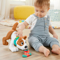 Fisher price catelus crawl with me, Mattel - Publisol.ro