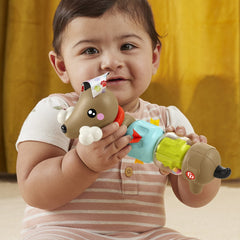 Fisher price jucarie catelus de activitate pentru bebelusi click and spin, Mattel - Publisol.ro