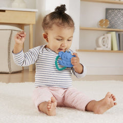 Fisher price jucarie dentitie diverse modele, Mattel - Publisol.ro