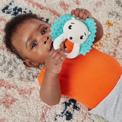Fisher price jucarie zornaitoare arici, Mattel - Publisol.ro
