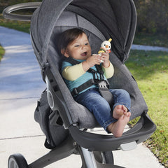 Fisher price jucarie zornaitoare gasca, Mattel - Publisol.ro