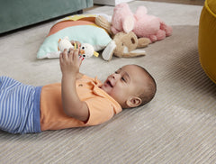 Fisher price jucarie zornaitoare gasca, Mattel - Publisol.ro