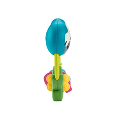 Fisher price jucarie zornaitoare lenes, Mattel - Publisol.ro