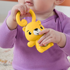 Fisher price jucarie zornaitoare leopard, Mattel - Publisol.ro