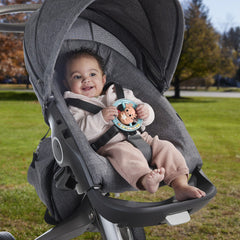 Fisher price jucarie zornaitoare salamandra, Mattel - Publisol.ro